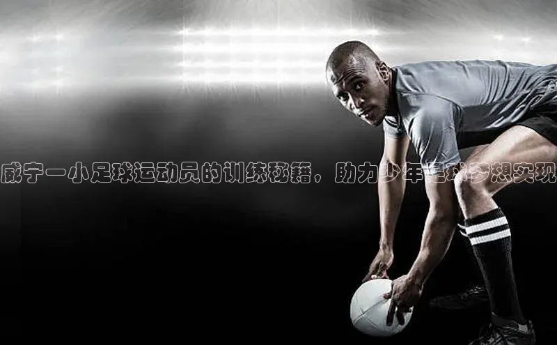 星欧娱乐下载官网百度翻译威宁一小足球运动员的训练秘籍，助力少年足球梦想实现