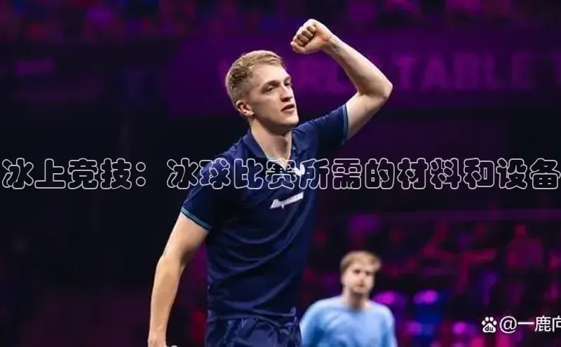 星欧平台点登录入口轻美电器冰上竞技：冰球比赛所需的材料和设备