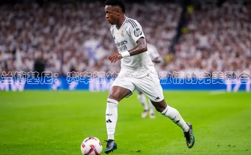 星欧娱乐下载百度学术兰博基尼：赛车精神与赛道激情的完美融合