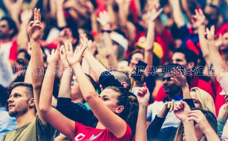 ：哪些体育赛事不仅精彩，还提供丰厚的奖金回报