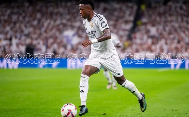 《冰火交融：冬奥会观赛体验与感悟》