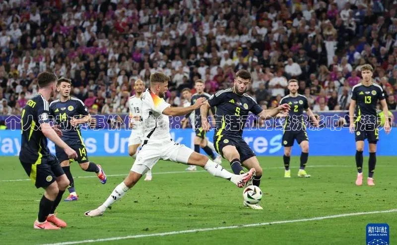 个人运动赛事价值排行：体育活动的经济影响与潜力