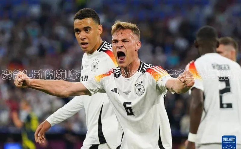 赛鸽运动的巅峰对决：顶级赛事的精彩呈现与挑战