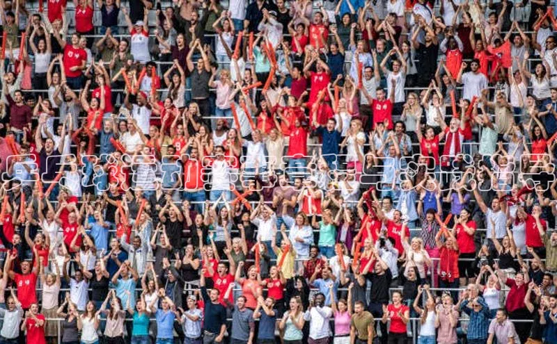 乒乓球运动赛事章程与实践指导