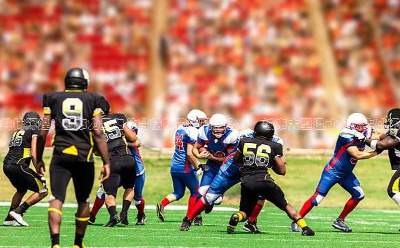 共铸辉煌：都市力量与体育精神的完美融合——城市大型运动会赛事盛况