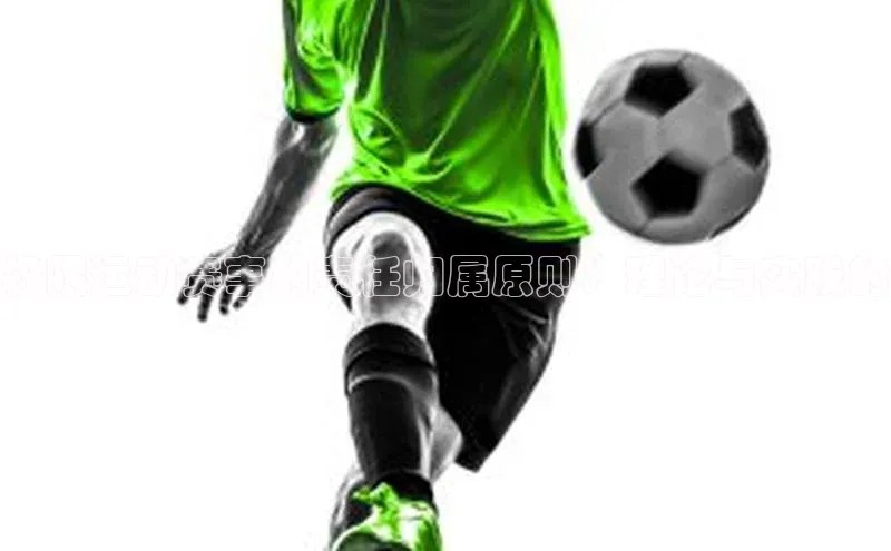 极限运动赛事的责任归属原则：理论与实践的