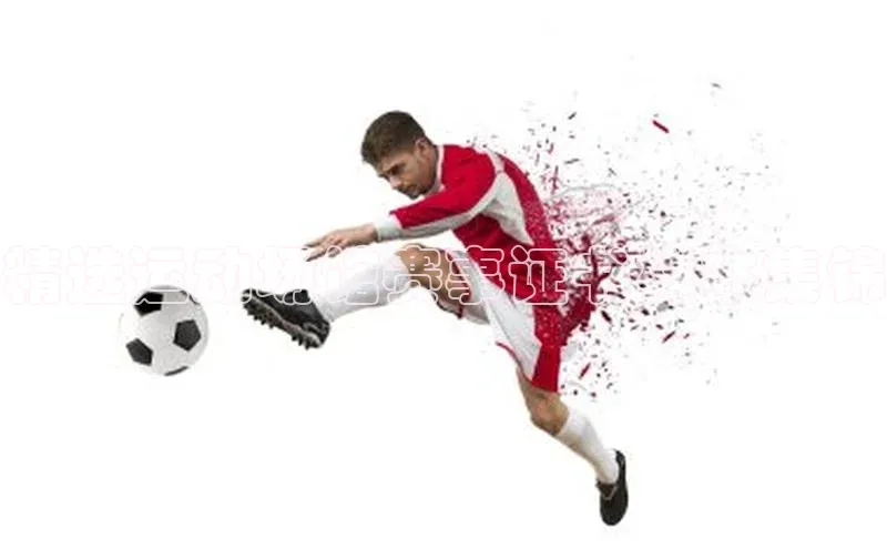 精选运动场馆赛事证书样本集锦