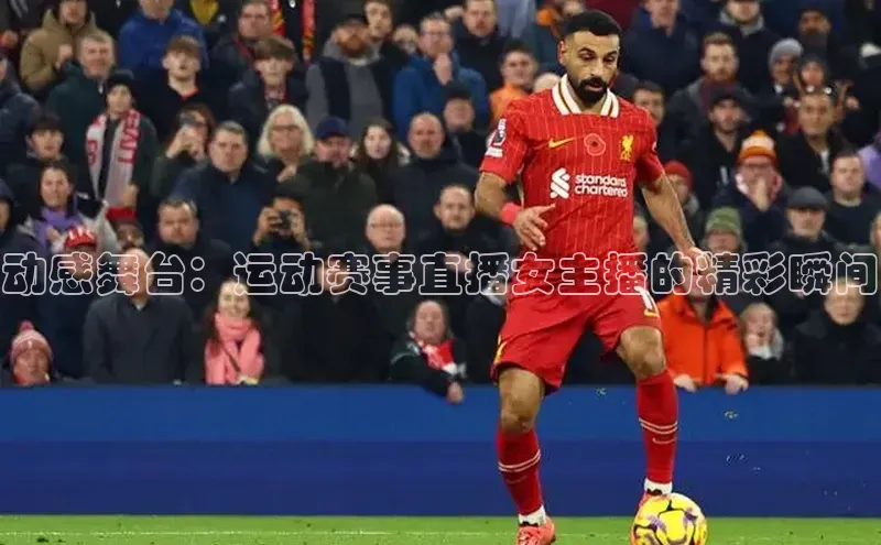 星欧账号登录入口