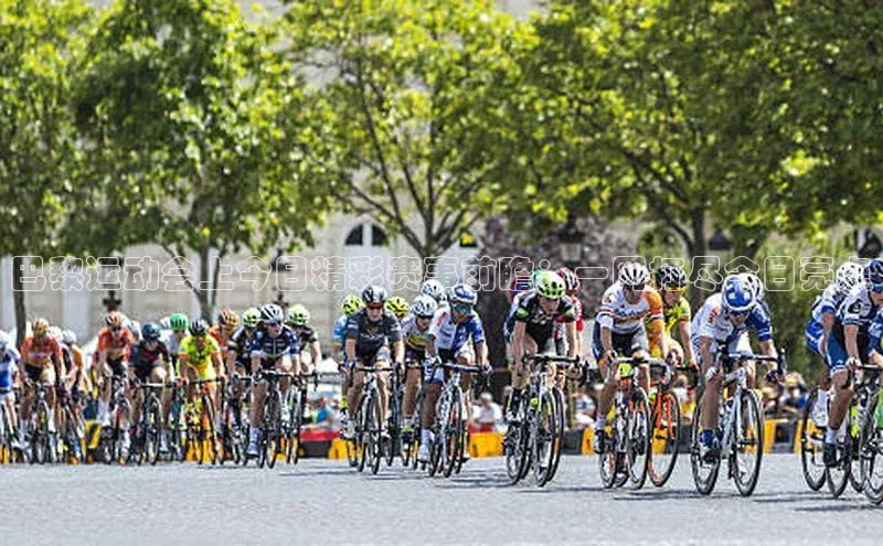 星欧会员平台登录入口