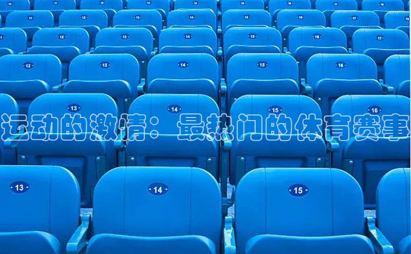 运动的激情：最热门的体育赛事